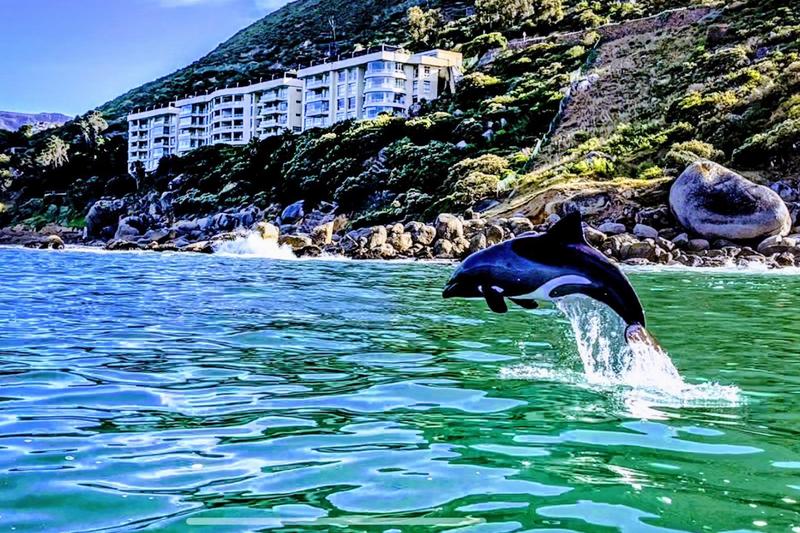 2 Bedroom Property for Sale in Hout Bay Western Cape